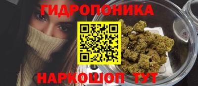 дмт Волжский