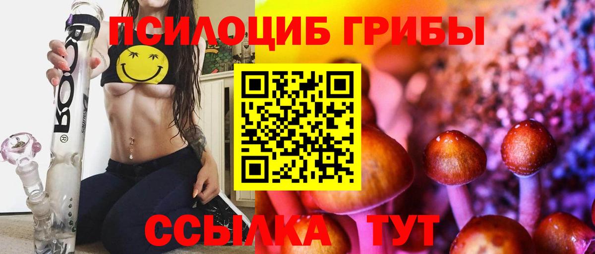 хочу наркоту  Псилоцибиновые грибы прущие грибы  Вход с VPN  Дербент 