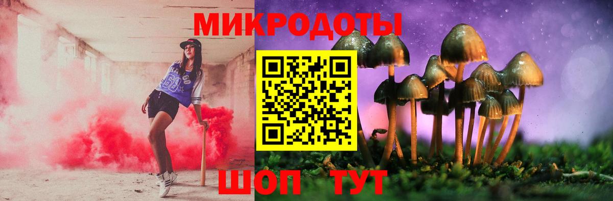 Галлюциногенные грибы Psilocybe Дербент